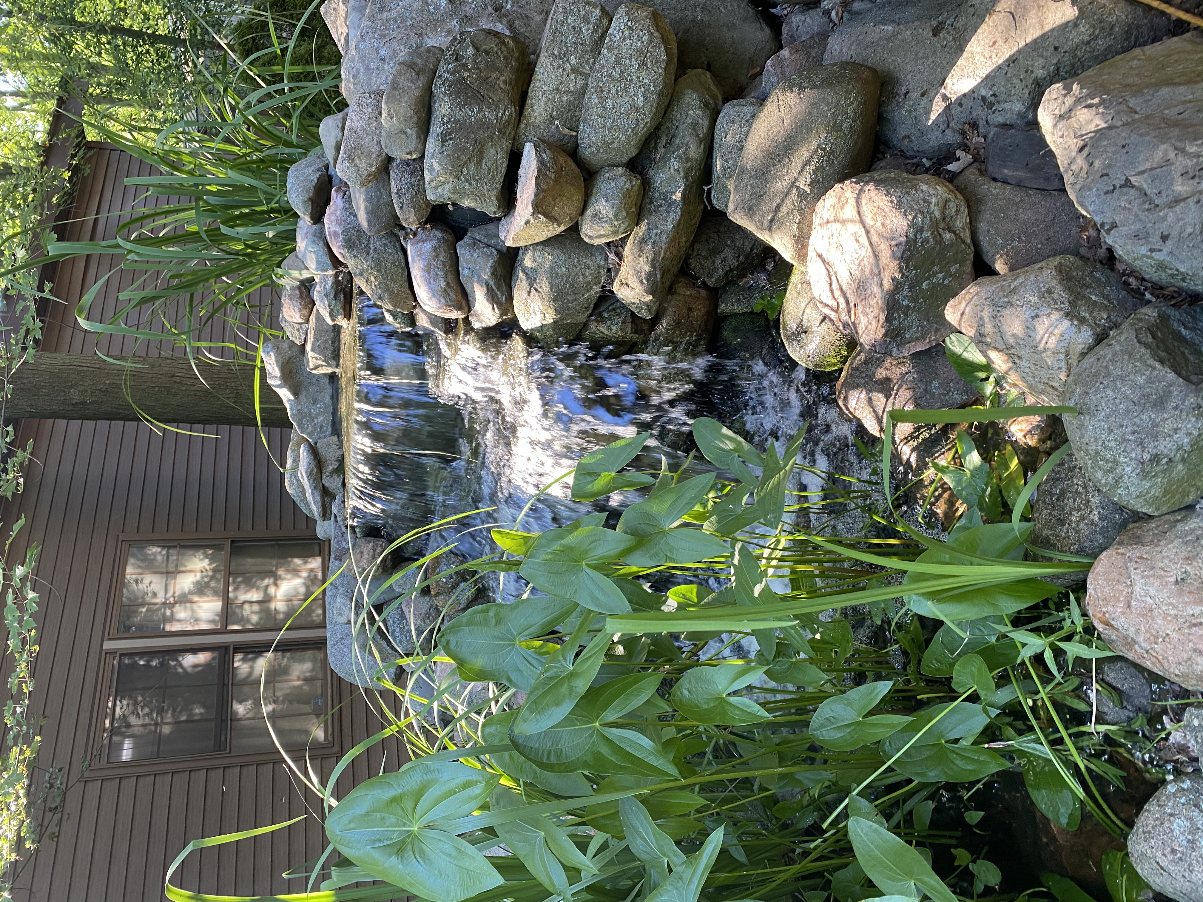Banquet Hall Landscaping Waterfall
